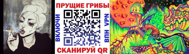 купить закладку  blacksprut зеркало  Псилоцибиновые грибы ЛСД  Лесозаводск 